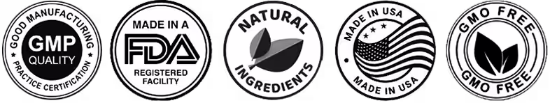 Certification Badges